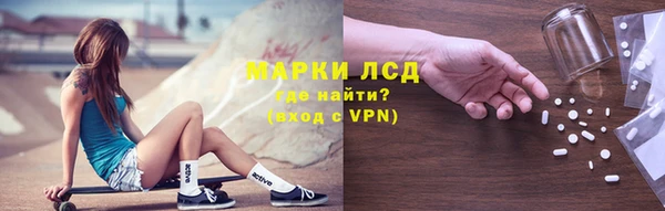 ГАЛЛЮЦИНОГЕННЫЕ ГРИБЫ Аркадак