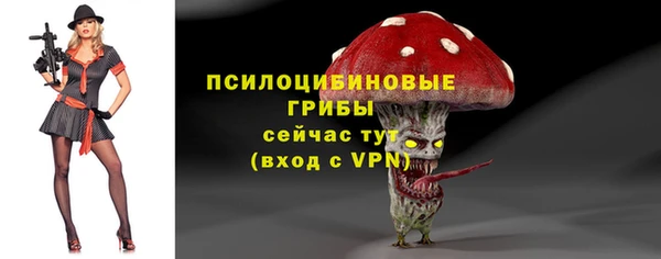 ГАЛЛЮЦИНОГЕННЫЕ ГРИБЫ Аркадак
