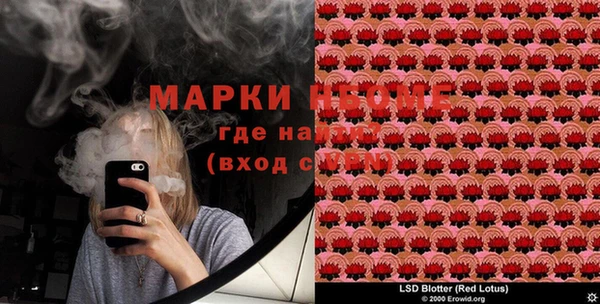 ГАЛЛЮЦИНОГЕННЫЕ ГРИБЫ Аркадак