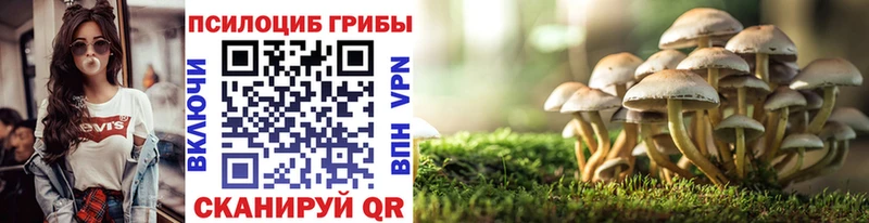 Галлюциногенные грибы GOLDEN TEACHER  Порхов 